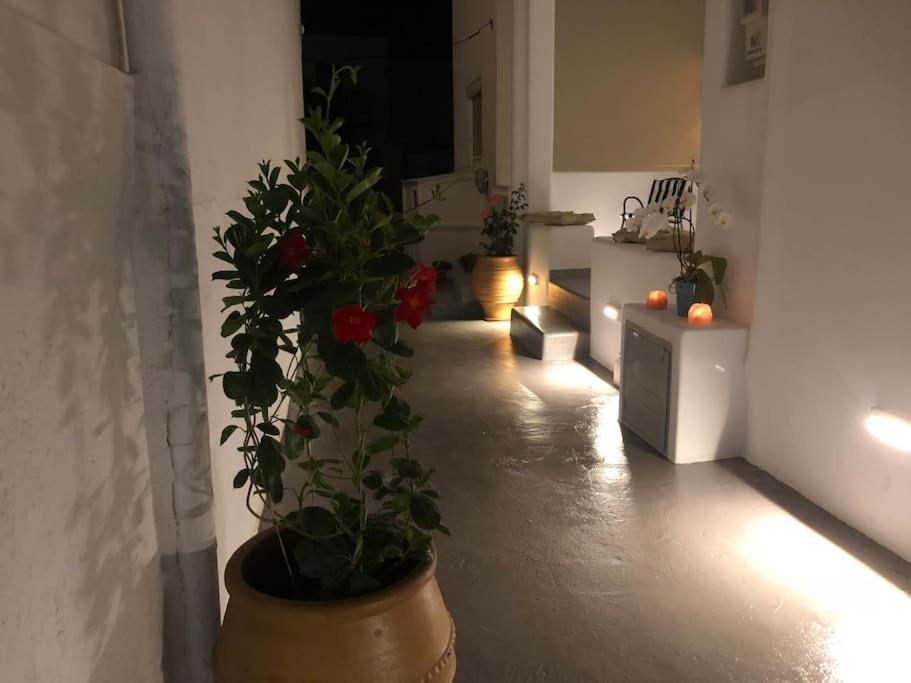 Apartament Mare Bay Adamantas  Zewnętrze zdjęcie